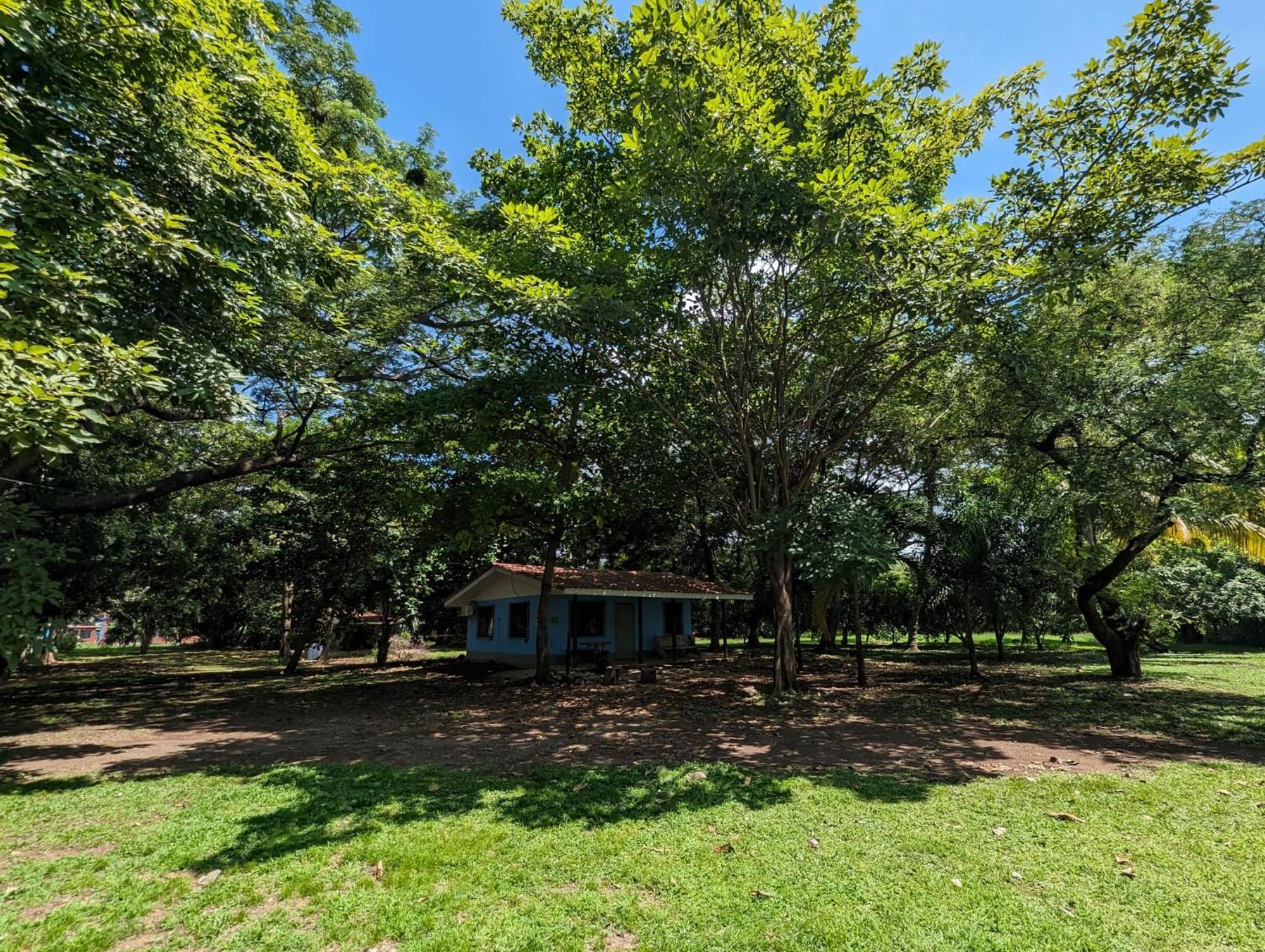 Iguana Street Houses โกโก ภายนอก รูปภาพ